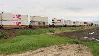 Westbound CN Train Intermodal Tuesday June 4 2024 [upl. by Jaal511]