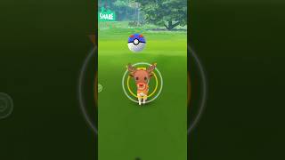 I Caught Wild Pokemon Deerling In Pokemon go pokemongo deerling shortsfeed [upl. by Saint325]