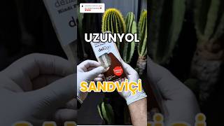 Petrol marketi sandviçleri alınır mı sandwich shell [upl. by Eugenius464]