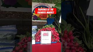 Radishes at the Farmers Market radish farmersmarket vegetable farm farmlife farmshorts crop [upl. by Ardekahs53]