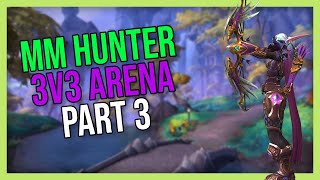 Marksmanship Hunter 3v3 Arena 3 Dragonflight Season 4 [upl. by Mashe]