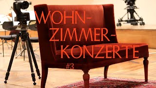 WohnzimmerKonzerte der Wiener Symphoniker 3 [upl. by Anwahsiek]