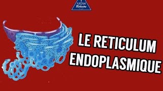 02  Le Réticulum endoplasmique [upl. by Gibe]