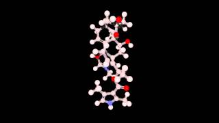 Batrachotoxin [upl. by Sudnak613]