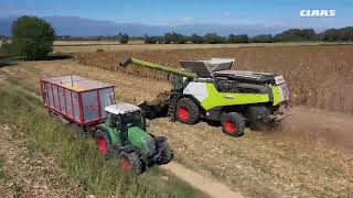 CLAAS In Campo 2022  LEXION 7400 nel mais cuneese [upl. by Dilan801]