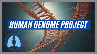 Human Genome Project Explained [upl. by Enaerb]