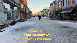 Snowy walk in TromsoNorway above the Arctic Circle 111223 [upl. by Nemajneb]