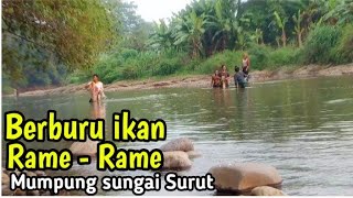 RAME RAME PANEN MENANGKAP IKAN  SUNGAI LAGI SURUT HASIL MELIMPAH [upl. by Maye]