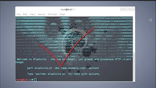 تثبيت Slowlorispl على الكالي لينكس للهجوم على المواقع من قبل حمادة العراقي [upl. by Barnie153]