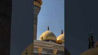 Imam Musa Kazim  Imam Taqi  Kazmain  WhatsApp status kazmain baghdad labaikyahussainas yaali [upl. by Audsley]