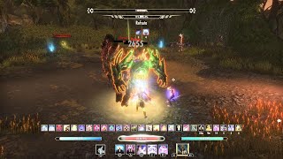 ESO EZ Heavy Attack Sorcerer Vateshran Hollows 297k Run [upl. by Gilda]