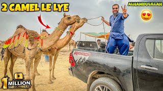 1 million subscribers hogae Alhamdulillah 😍 aur 2 camels bhi le lye 🐪🐫 [upl. by Uile]