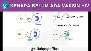 Vaksin HIV   HIV Part 1 [upl. by Dadinirt]