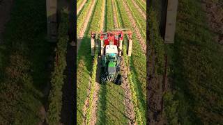 Its time for vineyard spraying 🚜🍇denarditeam wineinspires wine viticulture vines vineyard [upl. by Erehc]