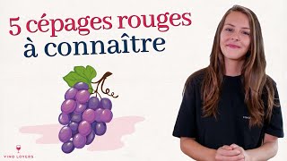 5 cépages rouges à connaître absolument cabernet sauvignon merlot pinot noir syrah et grenache [upl. by Estrella]