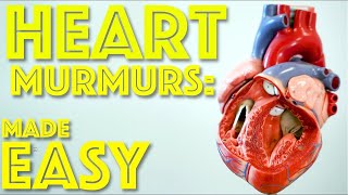 Heart Murmurs Made Easy  Aortic and Mitral Heart Murmurs explained  Cardiology  Dr Gill [upl. by Accber516]