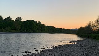 Salmon fishing upper delvine river Tay Scotland [upl. by Pelletier]