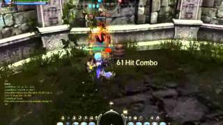 Dragonnest Paladin Trinity  Infinite Combo Lvl 24 [upl. by Noval759]