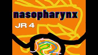 nasopharynx JR HK G3 speed [upl. by Nahgrom]