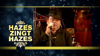 Hazes Zingt Hazes 2013 [upl. by Soigroeg]