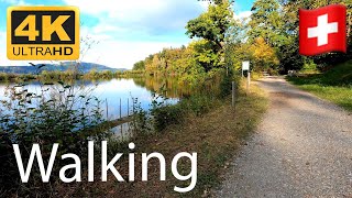 Walking in Switzerland around a small pond  Foot steps  accompany me  Swiss Nature Sounds [upl. by Akahs]