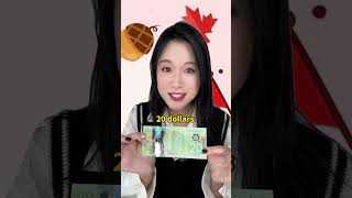 1 分钟学会加拿大所有的钱！shorts english learnenglish englishlesson 英语 学英语 英语口语 英语学习 [upl. by Ylrad]