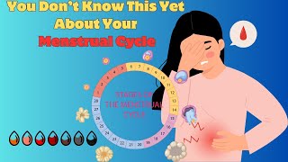 Your Menstrual Cycle Explained [upl. by Cardwell]