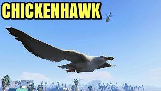 GTA 5 ONLINE  HOW TO UNLOCK quotCHICKENHAWKquot USED FOR DIRECTOR MODE MODDED OUTFITS GLITCH 148 [upl. by Hamaso]