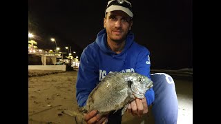 Ligurian Fishing Adventures  LAIGUEGLIA  Orata amp mormore di inizio ottobre [upl. by Nob405]