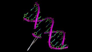 MALE SPECIFIC CANCER SIGNS EDY amp LOY EJW Science researchedwinwilliams7767​ [upl. by Hteb]