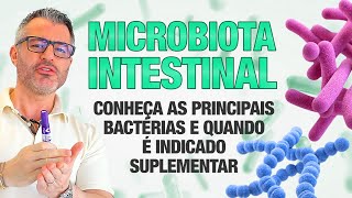 MICROBIOTA as melhores BACTÉRIAS e suas funções 🦠💩 [upl. by Rivi]