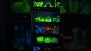 Uranium fever is real uraniumglass glowing fallout uranium glow glass vintage oldisgold [upl. by Aeslahc]