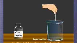 Dehydrating Property of Concentrated Sulphuric Acid [upl. by Rosenbaum]