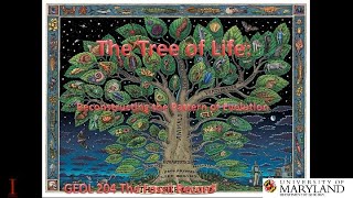 Lecture 8 The Tree of Life Reconstructing the Pattern of Evolution [upl. by Allecnirp]