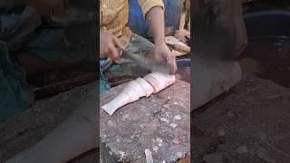 Indian Salmon Fish Slicing  Rawas Fish Cutting Skills shorts [upl. by Mills]