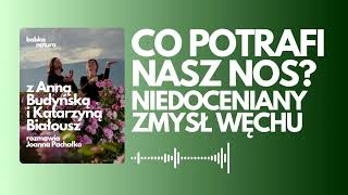 66  Niedoceniany węch O tym co potrafi nasz nos rozmawiam z Anną Budyńską i Katarzyną Białousz [upl. by Ilehs336]