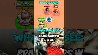 Kit loves strawberriesshorts brawl brawlstars update newbrawlermoememesbrawltalk lilykenji [upl. by Amuh535]