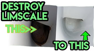 Destroy Limescale in seconds The ultimate limescale removal tip INCREDIBLE RESULTS [upl. by Tufts648]