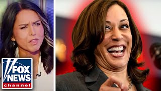 Tulsi Gabbard Reacts To Kamala Harris [upl. by Engeddi796]