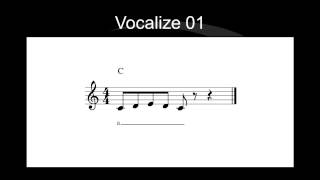 VOCALIZE 01  EXERCÍCIO DE CANTO E TÉCNICA VOCAL [upl. by Saxela]