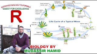 Protonema stage in the life cycle of Mosses Funaria [upl. by Dazhehs22]