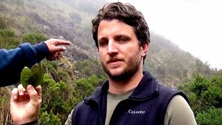 Inca Trail Journey to Machu Picchu  Day 2 of 4 [upl. by Airolg]