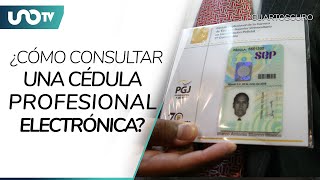 Si ya estás titulado ¿cómo y dónde consultar una cédula profesional electrónica [upl. by Anelhtak]