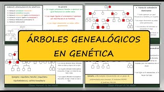 Árboles Genealógicos en Genética Patrones de Herencia en Genealogías Genética Biología [upl. by Amlez]