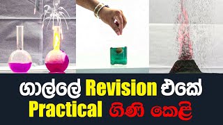 2024 Inorganic Chemistry සදහා ප්‍රායෝගික පරීක්ෂණ ආශ්‍රිත ප්‍රවේශයක් [upl. by Yehsa467]