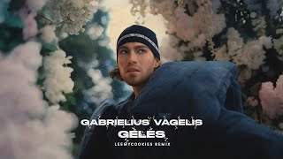 Gabrielius Vagelis  Gėlės LeeMyCookies Club Mix [upl. by Dotti]