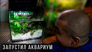 ОФОРМИЛ АКВАРИУМ С АКВАПОНИКОЙ 13 ЛИТРОВ И ЗАПУСТИЛ РЫБОК [upl. by Xella231]