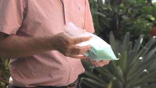 Tipos de Fertilizantes utilizados en Bromelias [upl. by Anivlac182]