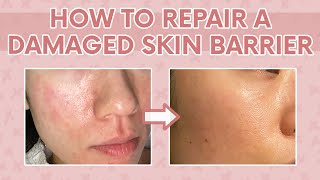 How to Heal a Damaged Skin Barrier 101  Tips to Repair a Damaged Moisture Barrier [upl. by Laehcim870]