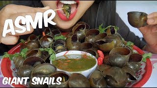 ASMR Giant SNAILS ESCARGOT EXOTIC FOOD EATING SOUNDS No Talking  SASASMR [upl. by Tessi]